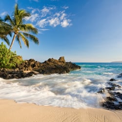 TRAVELINK - Hawaii is always a good idea....we'll schedule you for some well-deserved R&R.