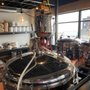 Photo of Skint Chestnut Brewing