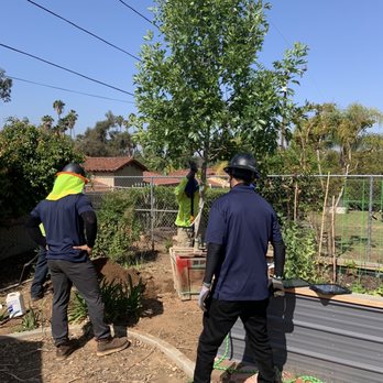Moon Valley Nurseries - The Moon installation team! - Tree Services Near Me - Chino, California Moon Valley Nurseries - The Moon installation team! - Tree Services Near Me - Chino, California