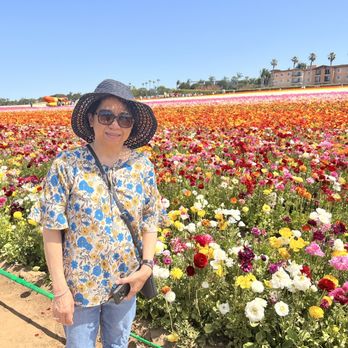 The Flower Fields - Venues & Event Spaces Near Me - Carlsbad, California The Flower Fields - Venues & Event Spaces Near Me - Carlsbad, California