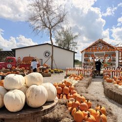 The Berry Farms