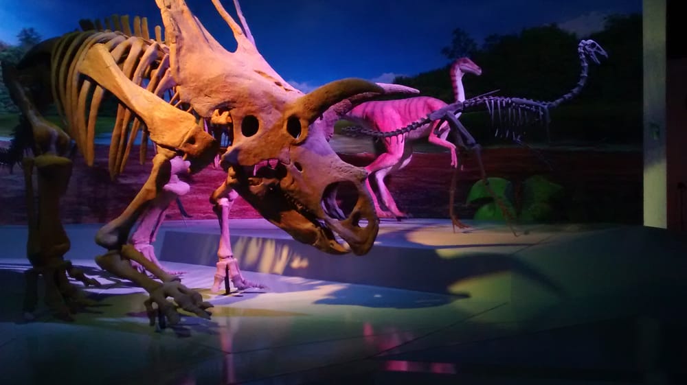 Museo de la Evolución