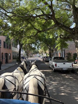 Palmetto Carriage Works by null