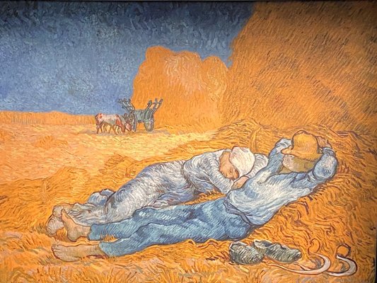 Van Gogh: The Immersive Experience by null