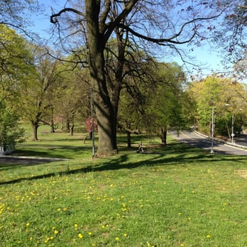 The Overlook at Forest Park - Parks Near Me The Overlook at Forest Park - Parks Near Me