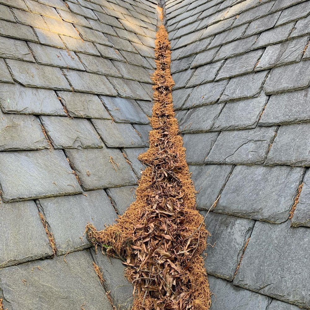 JM GUTTERS 91 Photos 1060 Bethel Church Rd, Lincolnton, North