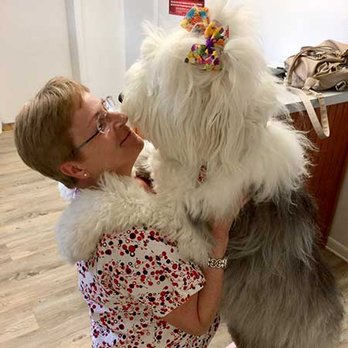 Family Veterinary Services - Veterinarians Near Me - Montague, New Jersey Family Veterinary Services - Veterinarians Near Me - Montague, New Jersey