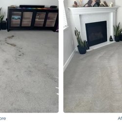 Steam Carpet Cleaning