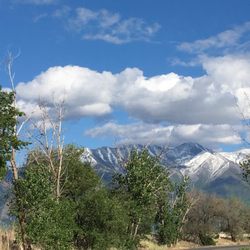 Wells Fargo Bank - Sierra Bonita, showing off her beauty in Springville.