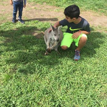 Kangaroo Creek Farm - Zoos Near Me - Kelowna, British Columbia Kangaroo Creek Farm - Zoos Near Me - Kelowna, British Columbia