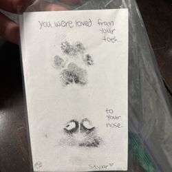 Points East Veterinary Emergency Hospital - Nose and paw print