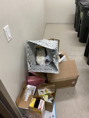 Green Leaf Lotus by null