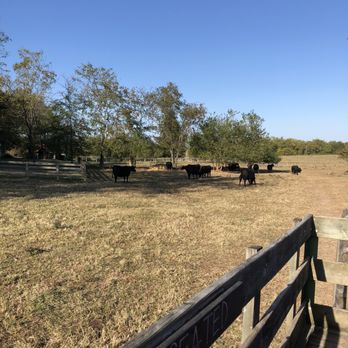 Gentry's Farm - Farms Near Me - Franklin, Tennessee