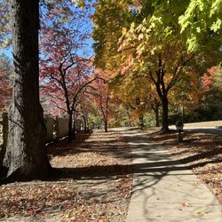 Pere Marquette Lodge & Conference Center - Fall foliage.