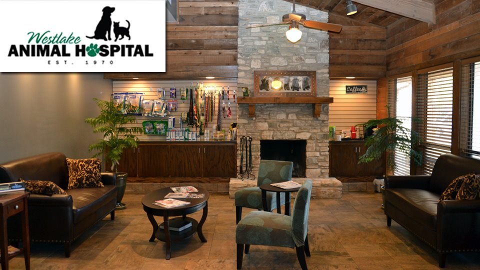 Westlake Animal Hospital 108 Photos &amp; 70 Reviews