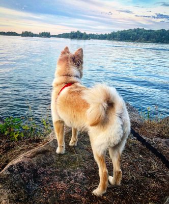 Wellesley Island State Park by null