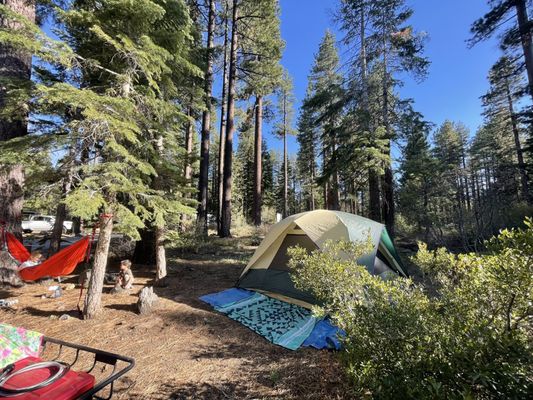 Fallen Leaf Campground by null