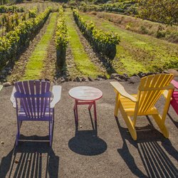 Wine & Beer Tours of Nova Scotia - Bear River Vineyards