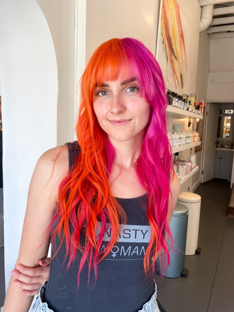 Dani Shishoian Hair Logo