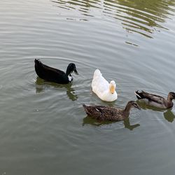 Colleyville Nature Center