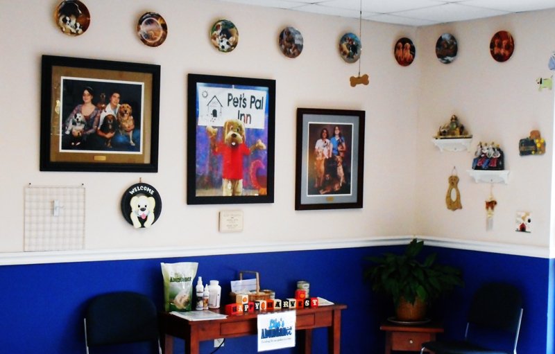 PET’S PAL INN Updated August 2024 28 Photos & 19 Reviews 3417