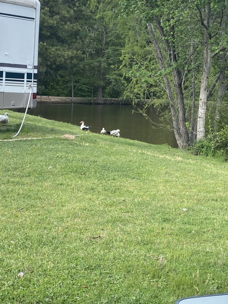 Magnolia RV Park