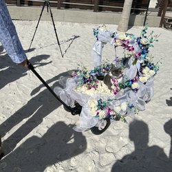Karen's Florist of Gulfport - Flower Kitten down the aisle