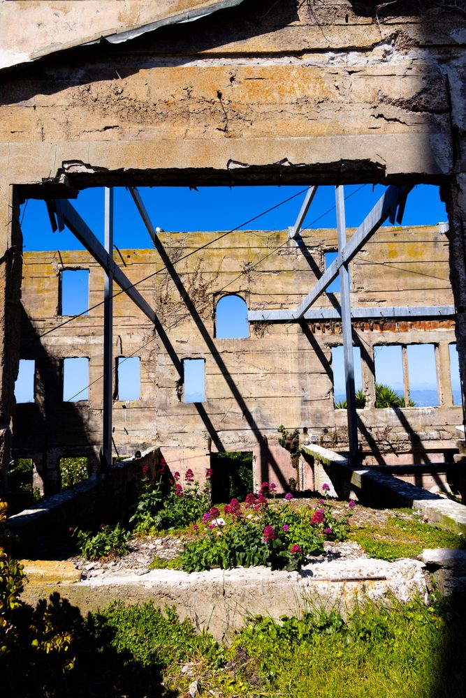 Alcatraz Island