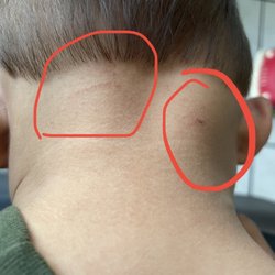 Rosie's Unisex Beauty Salon - The lady cut my son on both sides and the back