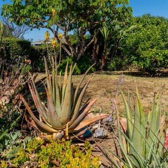 Lilli O. Realty - Back yard with small patio, fruit trees, flowers and other plaints - Real Estate Agents Near Me - Cerritos, California Lilli O. Realty - Back yard with small patio, fruit trees, flowers and other plaints - Real Estate Agents Near Me - Cerritos, California