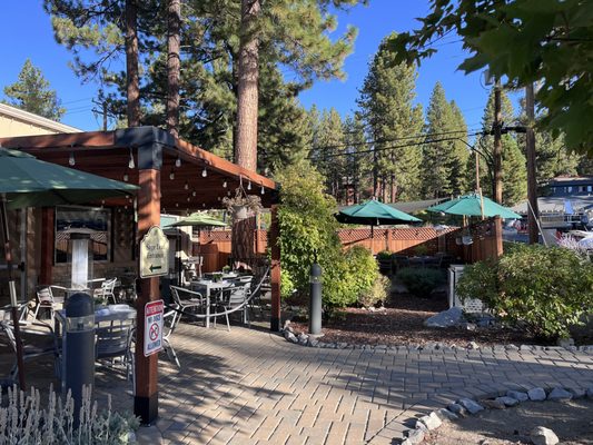 Sage Leaf Tahoe by null