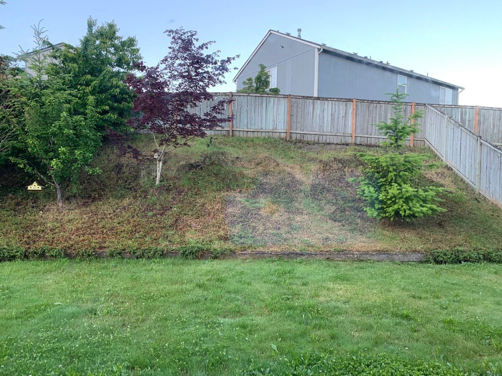 ROCK SOLID TREE & LANDSCAPE SERVICES Updated September 2024 10