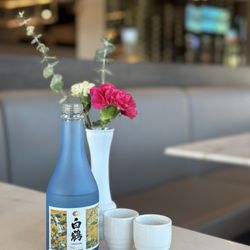 Shorebird - Sake