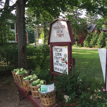 Mountain View Farm - a display of fresh produce - Farmers Market Near Me - Farmington, Connecticut Mountain View Farm - a display of fresh produce - Farmers Market Near Me - Farmington, Connecticut
