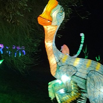 Glowfari - Zoos Near Me - Oakland, California