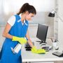 Photo of Bizzy Bee Cleaning