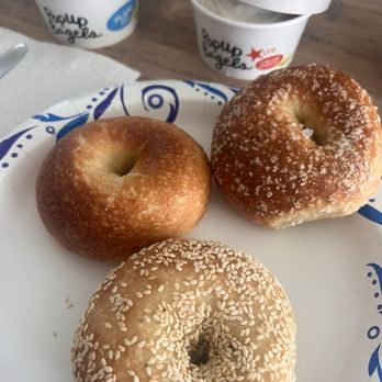 PopUp Bagels - Sesame, plain and salted bagels - Bagels Near Me - Jacksonville, Florida