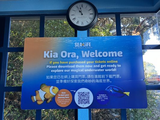 SEA LIFE Kelly Tarlton's Aquarium by null