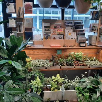 Clover&Booch - Interior - Nurseries & Gardening Near Me - Beaverton, Oregon