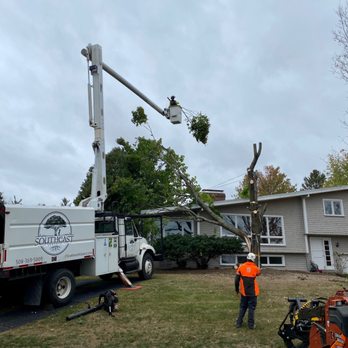Southeast Arborist - Storm clean up - Tree Services Near Me Southeast Arborist - Storm clean up - Tree Services Near Me