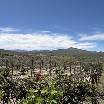 Charron Vineyards - Wineries Near Me - Vail, Arizona Charron Vineyards - Wineries Near Me - Vail, Arizona