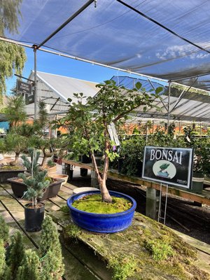 Portland Nursery by null