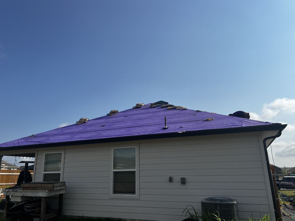 Slide of Mammoth Contracting