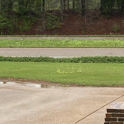 4-EverGreen - Weeds