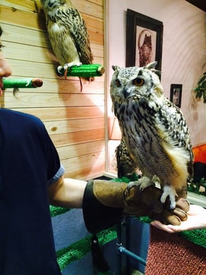 鳥のいるカフェ 27 Photos Cafes 木場2丁目6 7 江東区 東京都 Japan Restaurant Reviews Phone Number