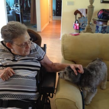Pawsitive Focus - Pawsitive Focus specializes in training Service Dogs. - Pet Training Near Me