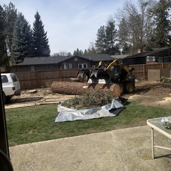 Specialty Tree Services Inc - Tree Services Near Me - Coeur D Alene, Idaho Specialty Tree Services Inc - Tree Services Near Me - Coeur D Alene, Idaho
