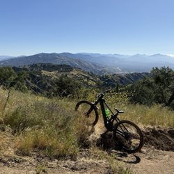 Orbea Wild M10