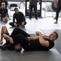 Photo of Tao of Jiu Jitsu