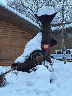 Chena Hot Springs Resort by null
